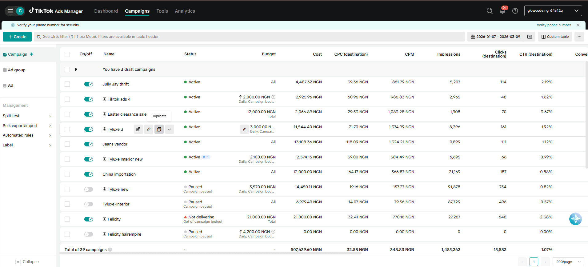 TikTok Ads Management